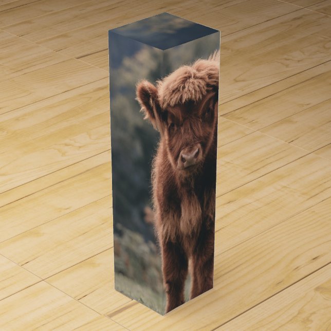 Highland cow calf autumn grass field wine box (Front)