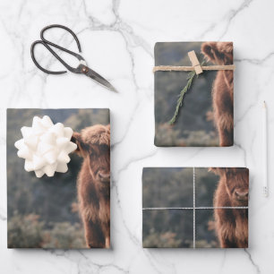 Highland cow calf autumn grass field wrapping paper sheets
