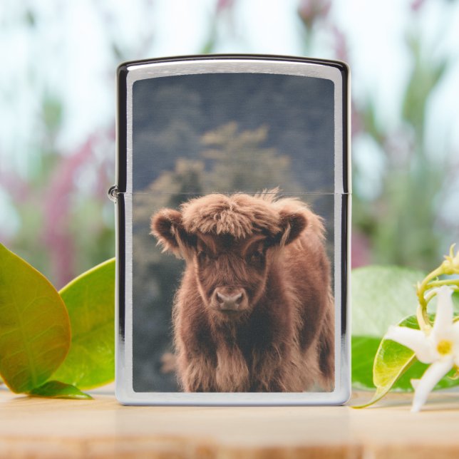 Highland cow calf autumn grass field zippo lighter (On Table)