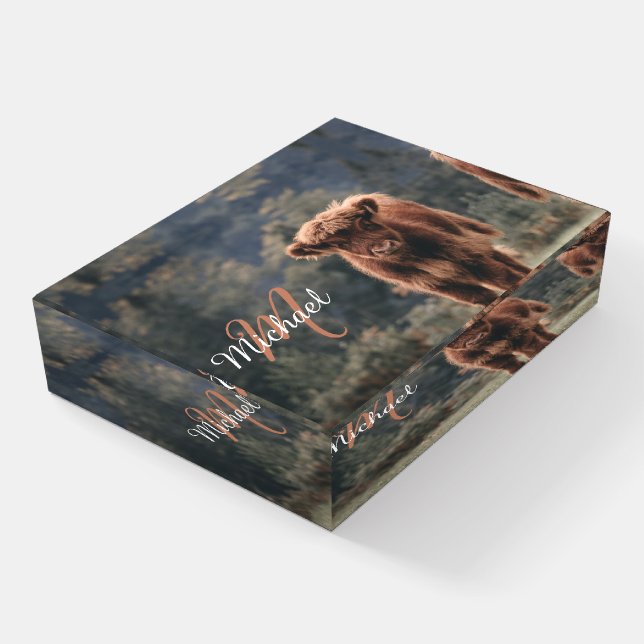 Highland cow calf autumn grass monogram initial paperweight (Angled)