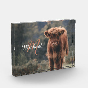 Highland cow calf autumn grass monogram initial photo block