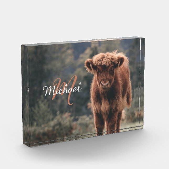 Highland cow calf autumn grass monogram initial photo block (Left)