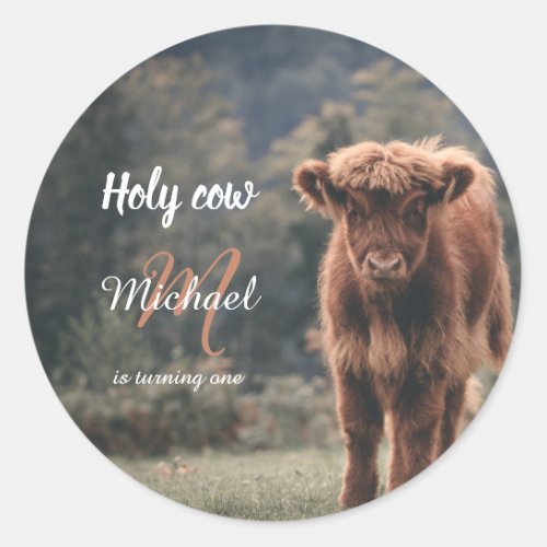 Highland cow calf monogram first birthday party classic round sticker