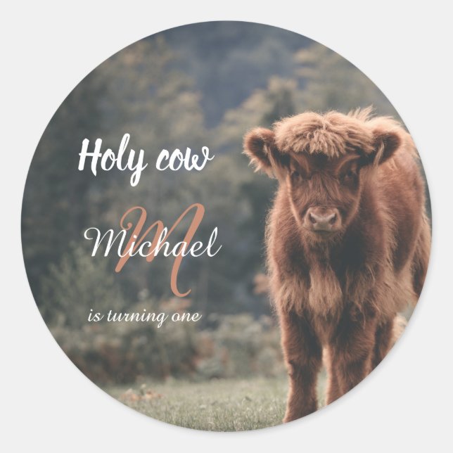 Highland cow calf monogram first birthday party classic round sticker (Front)