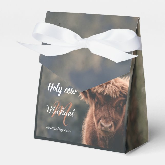 Highland cow calf monogram first birthday party favor boxes (Front Side)