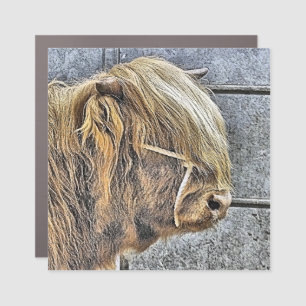 HIGHLAND COW CAR MAGNET