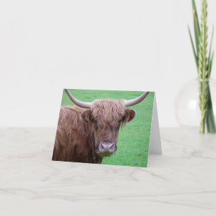 Highland Cow Card