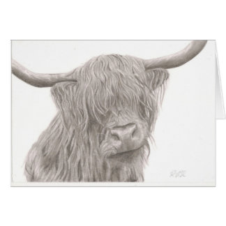Highland Cow Cards