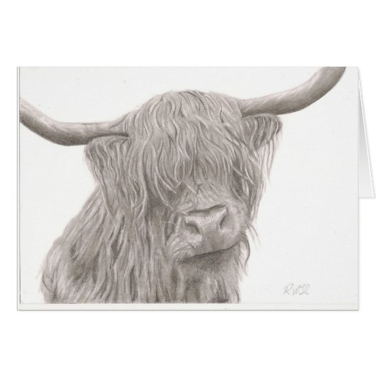 Highland Cow Cards (Front Horizontal)
