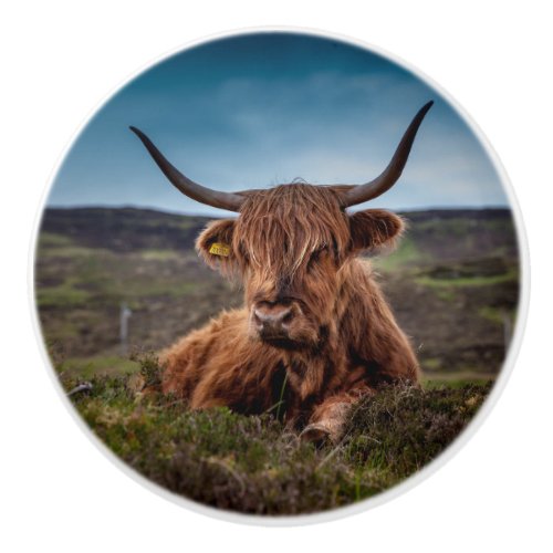 Highland Cow Ceramic Knob