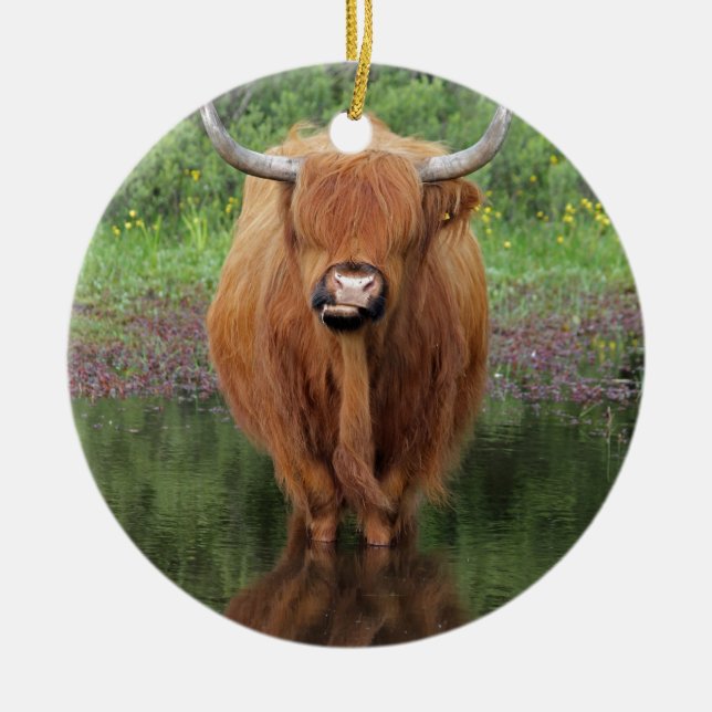Highland cow ceramic ornament (Front)