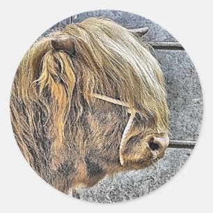 HIGHLAND COW CLASSIC ROUND STICKER