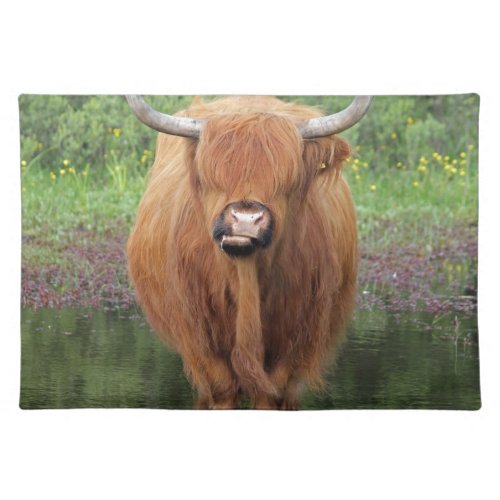 Highland cow cloth placemat