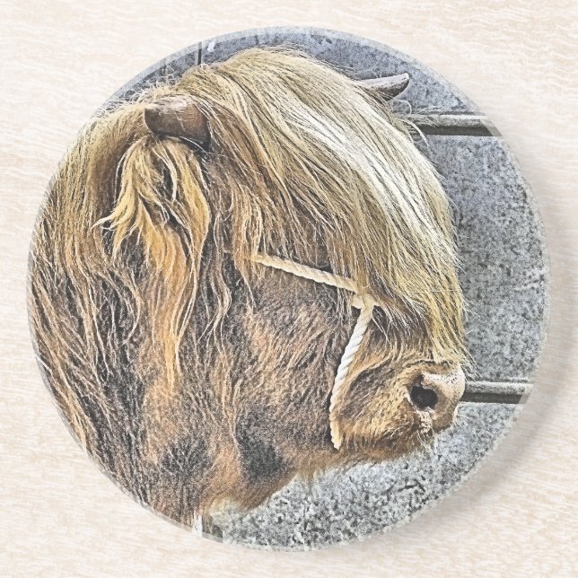 HIGHLAND COW COASTER (Front)