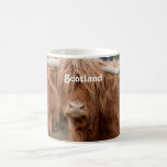 Highland Cow Coffee Mug