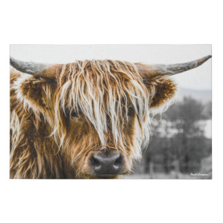 Highland Cow Coo Faux Canvas Print
