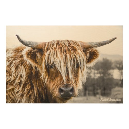 Highland Cow Coo Wood Wall Art