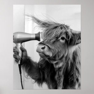 Highland Cow Doing Hair Styling Getting Ready Poster