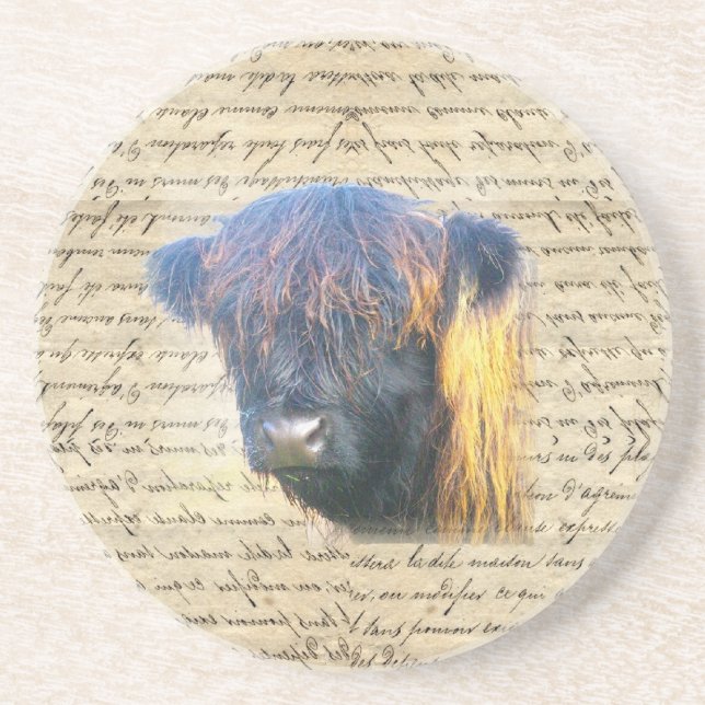 Highland cow drink coaster (Front)