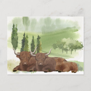  Highland Cow Family Watercolor Scotland Postcard