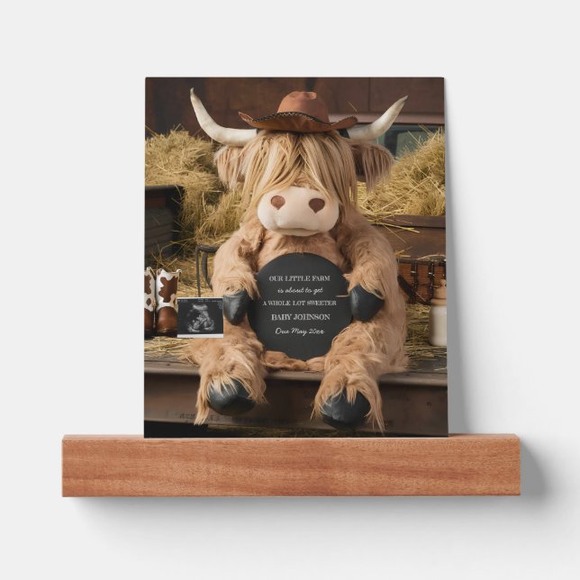 highland cow farm themed pregnancy announcement  picture ledge (Front)