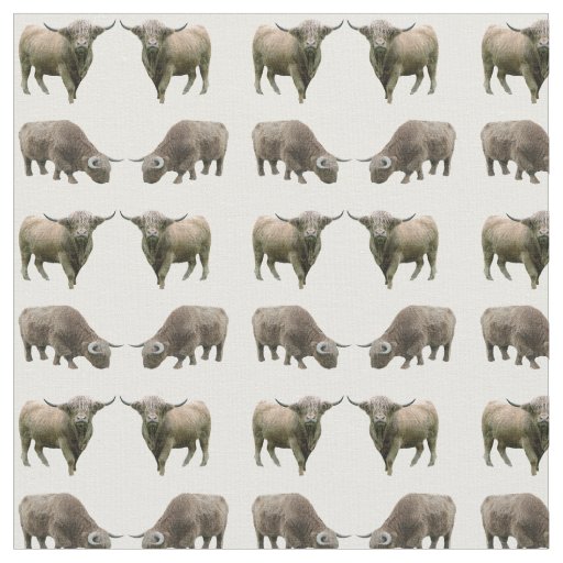 Highland Cow Frenzy Fabric (choose colour)