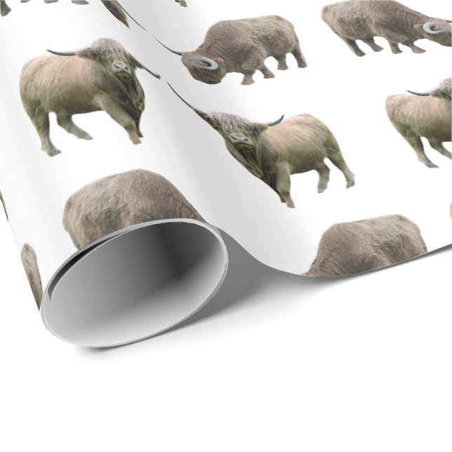 Highland Cow Frenzy Wrapping Paper (Choose colour) (Roll Corner)