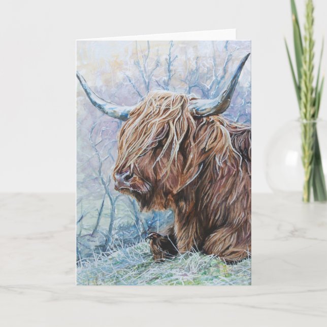 Highland cow, frosty morning card (Front)