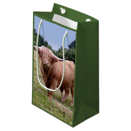 Highland Cow Gift Bag