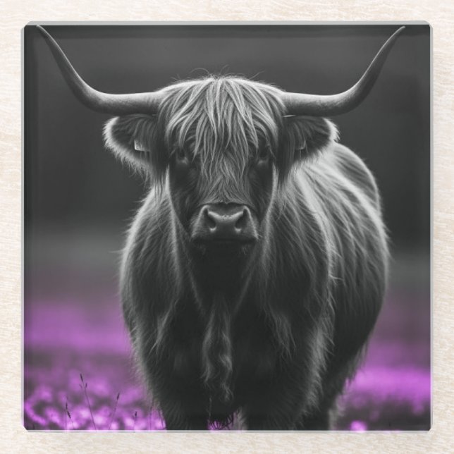 Highland Cow  Glass Coaster (Front)