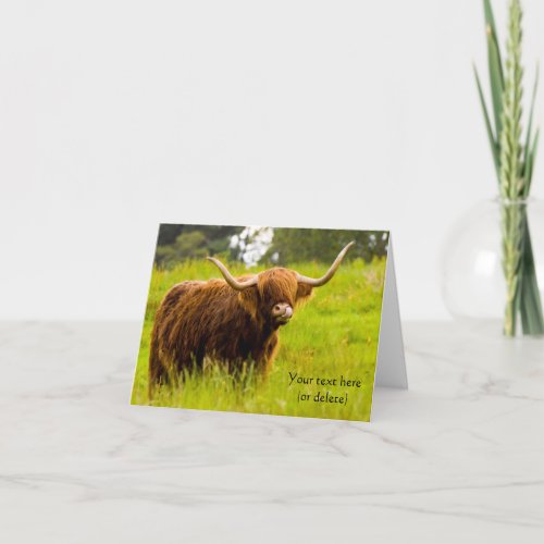 Highland Cow Greeting card