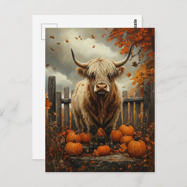 Highland Cow in Pumpkin Patch Postcard (Front/Back)