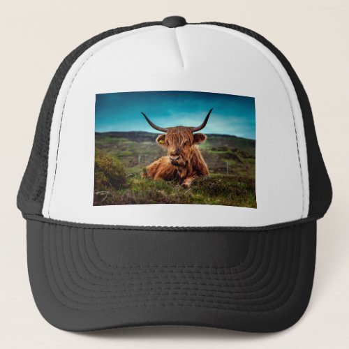 Highland Cow in the Field Trucker Hat