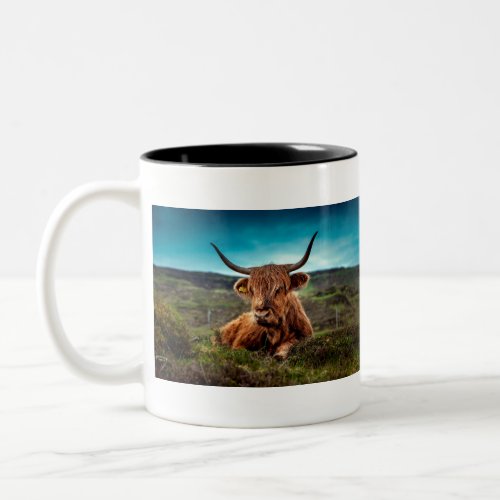 Highland Cow in the Field Two_Tone Coffee Mug