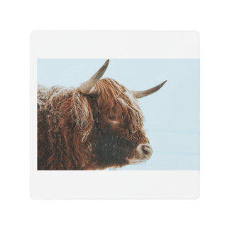 Highland Cow in the Snow Metal Print
