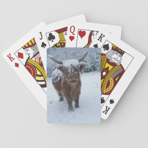 Highland Cow In The Snow Playing Cards