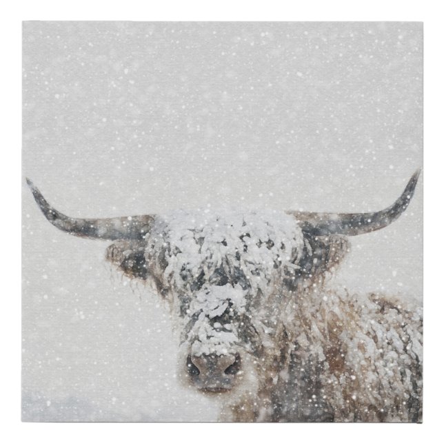Highland Cow In Winter Snow Faux Canvas Print (Front)