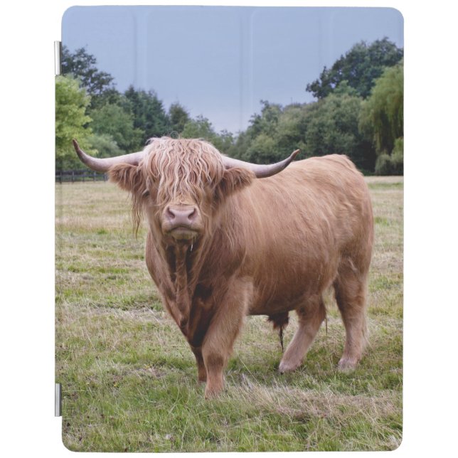 Highland Cow iPad Cover (all models) (Front)