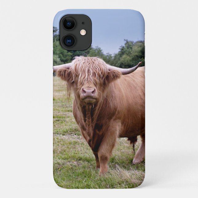 Highland Cow iPhone 11 Case (Back)