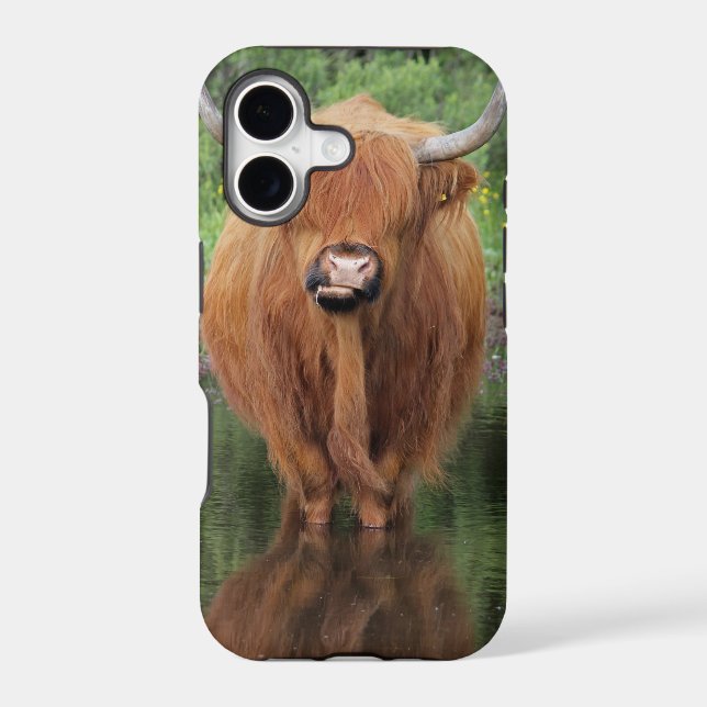 Highland cow iphone case (Back)