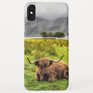 Highland Cow iPhone / iPad case