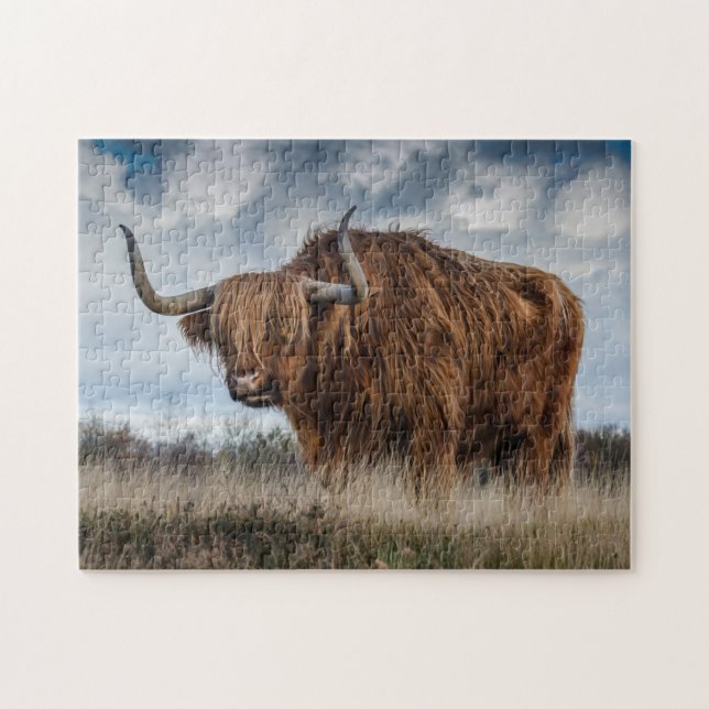 Highland cow jigsaw puzzle (Horizontal)