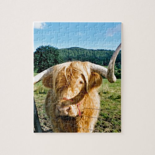 Highland cow jigsaw puzzle