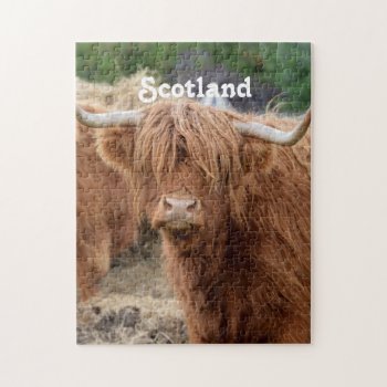 Highland Cow Jigsaw Puzzle by GoingPlaces at Zazzle