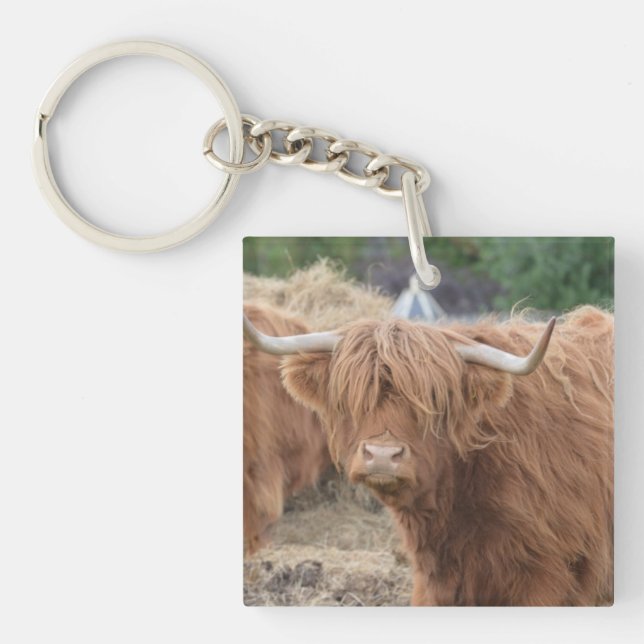Highland Cow Keychain (Front)