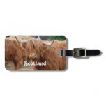 Highland Cow Luggage Tag