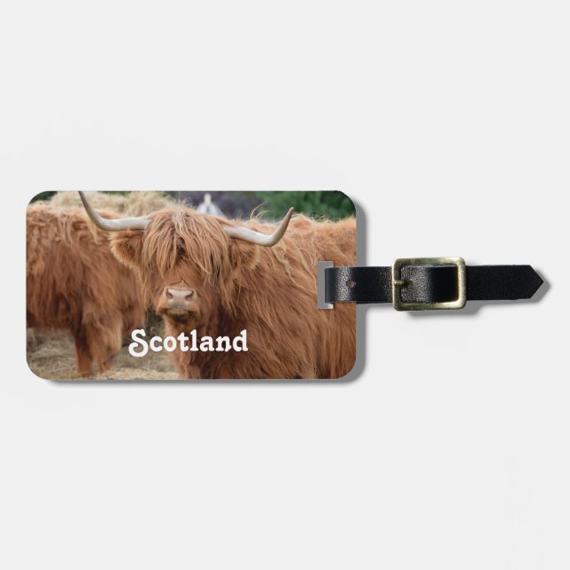 Highland Cow Luggage Tag (Front Horizontal)