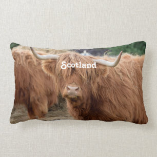 Highland Cow Lumbar Pillow