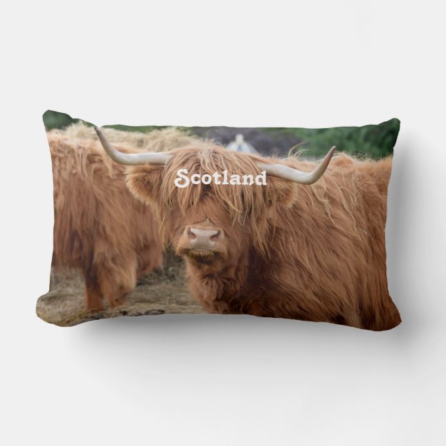 Highland Cow Lumbar Pillow (Front)
