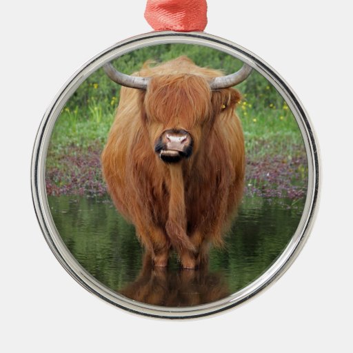 Highland cow metal ornament | Zazzle